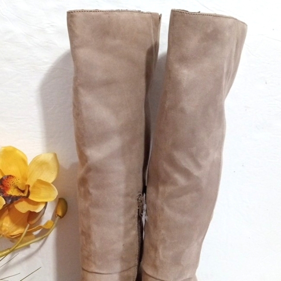 ANNELIESE TAUPE CALF-HIGH LONG BOOTS SIZE 7 NWT - Picture 2 of 11